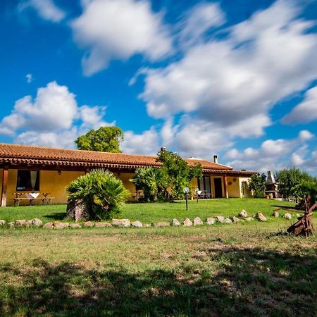 Agriturismo Carrucana Martis 外观 照片