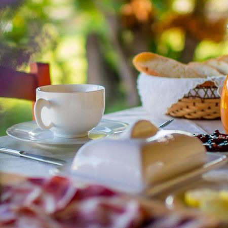 Agriturismo Carrucana Martis 外观 照片
