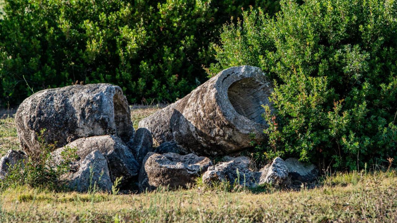 Agriturismo Carrucana Martis 外观 照片